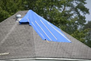 Roofing Contractor in Laurel, MD edwards home pro services