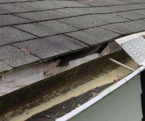 edwards home pro services gutter repair contractor in woodbine md